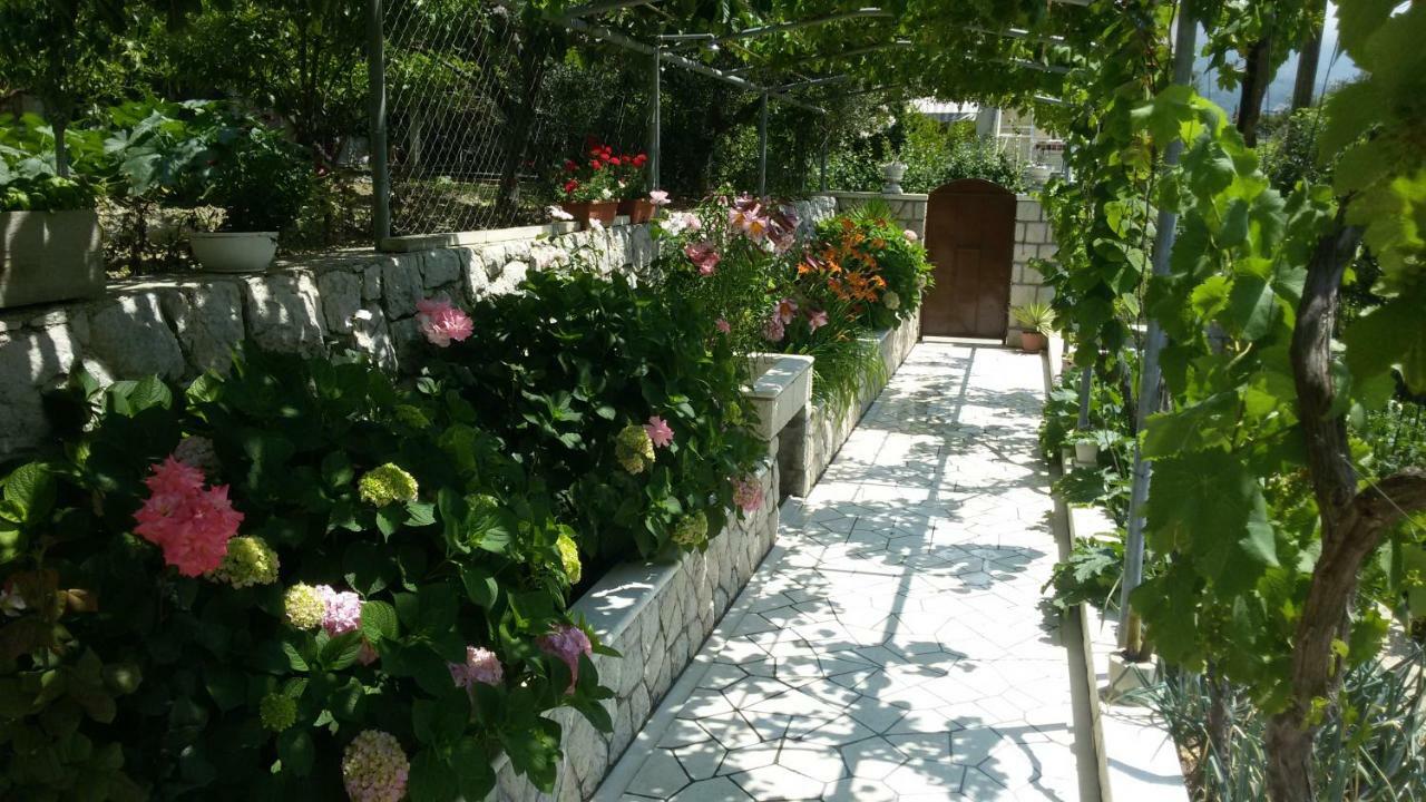 Villa Silvija มลินี ภายนอก รูปภาพ